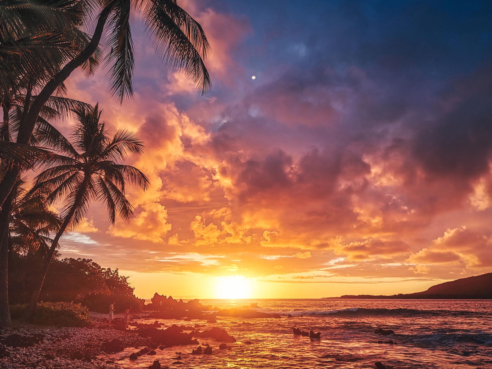 Hawaii Collection