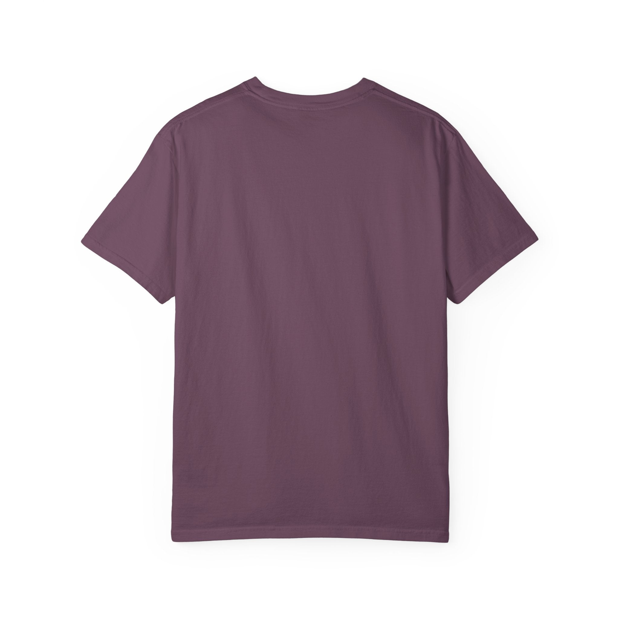 Paris Vintage Graphic T‑Shirt — “Been There, Done That, Going To Do It Again”